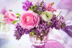 娱乐吃瓜酱一束鲜花,娱乐吃瓜酱一束鲜花背后的故事